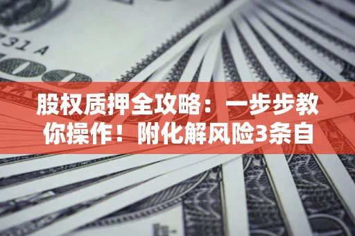北京股权质押全攻略：一步步教你操作！附化解风险3条自救法则