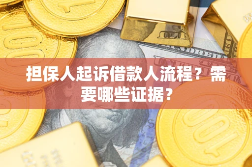 北京担保人起诉借款人流程？需要哪些证据？